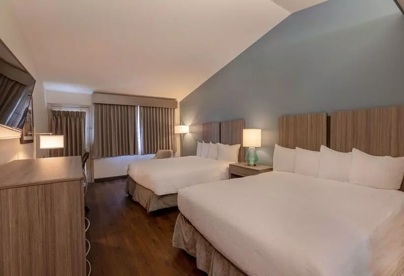 Отель Best Western Inn At Face Rock