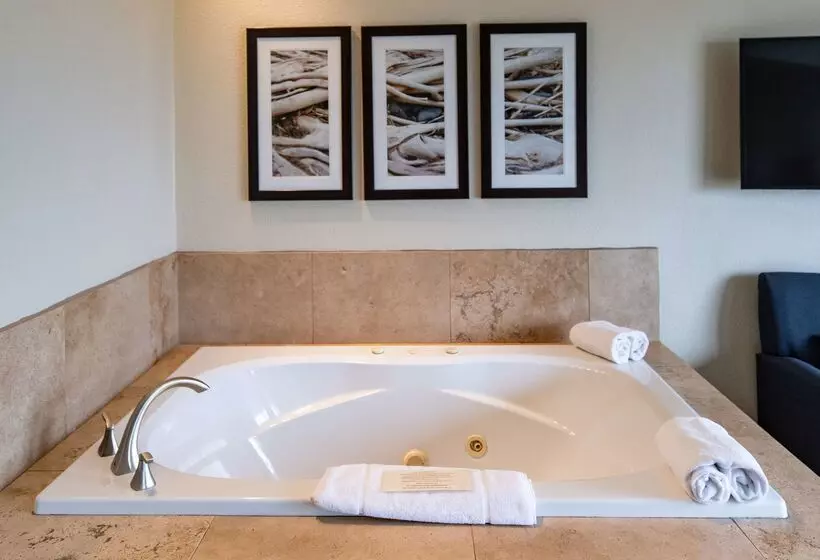 Отель Best Western Inn At Face Rock