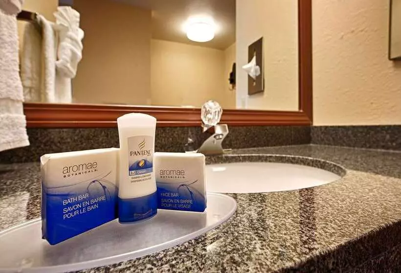 ホテル Best Western Luxbury Inn Fort Wayne