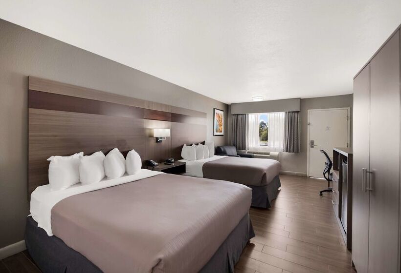 酒店 Best Western Minden Inn