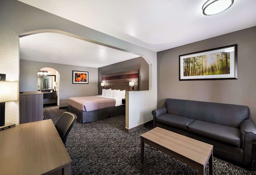 酒店 Best Western Minden Inn