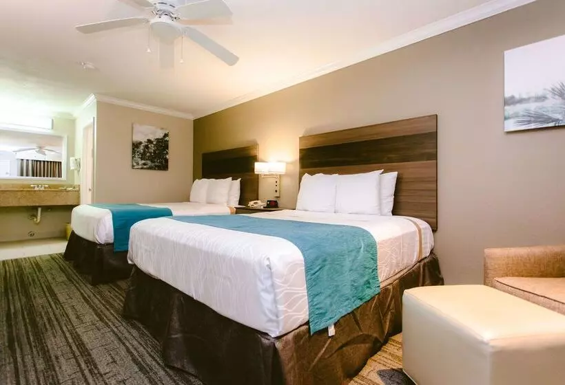 Otel Best Western Pearland Inn