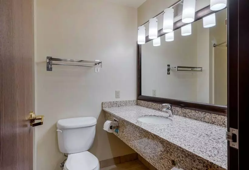 Отель Best Western Pinedale Inn