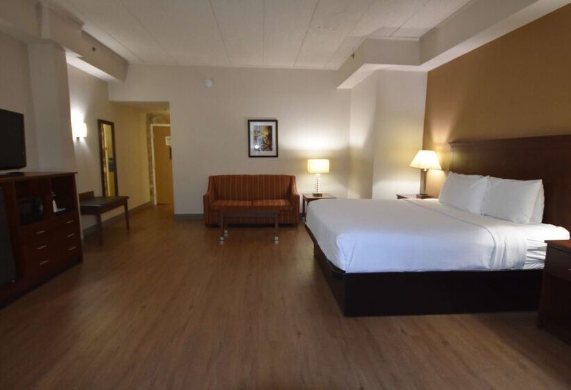 فندق Best Western Plus Governor's Inn Richmond