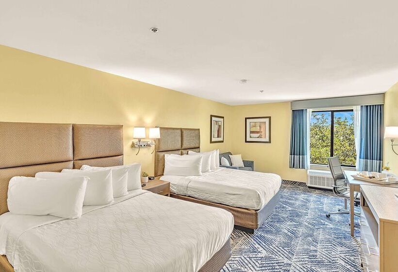 Отель Best Western Plus Lewisville Flower Mound