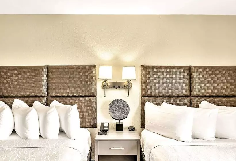 酒店 Best Western Plus Lewisville Flower Mound