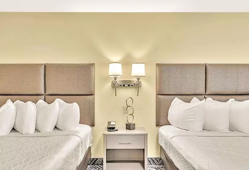 酒店 Best Western Plus Lewisville Flower Mound