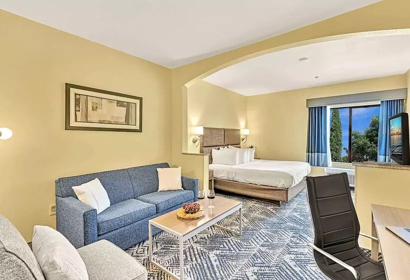 酒店 Best Western Plus Lewisville Flower Mound