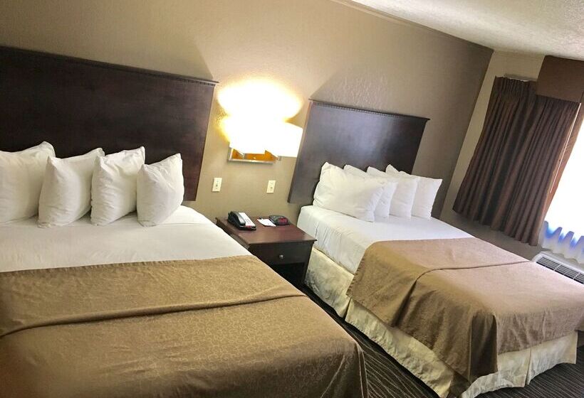 酒店 Best Western San Marcos