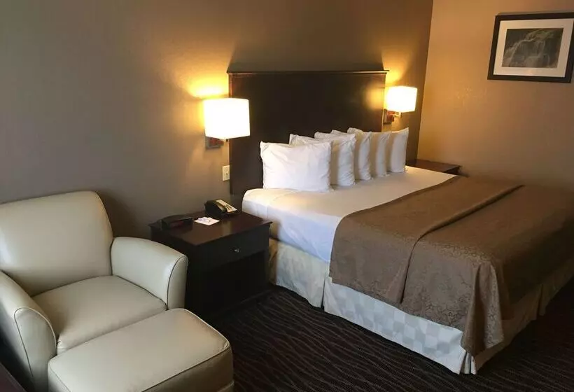 호텔 Best Western San Marcos