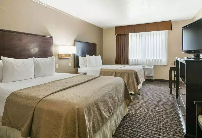 酒店 Best Western San Marcos