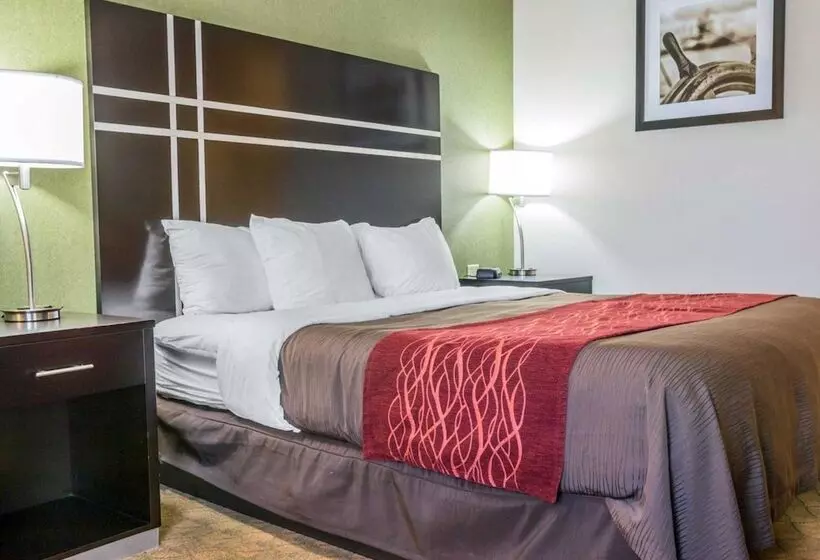 Hotel Comfort Inn & Suites Maumee   Toledo I80 90