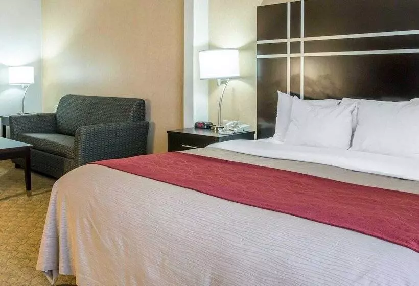 Hotel Comfort Inn & Suites Maumee   Toledo I80 90