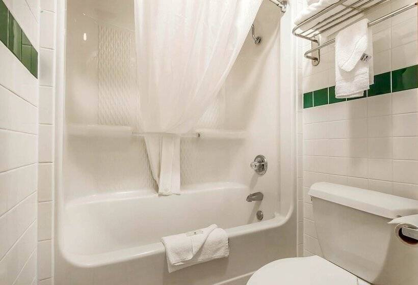 Otel Quality Inn & Suites Owasso Us 169