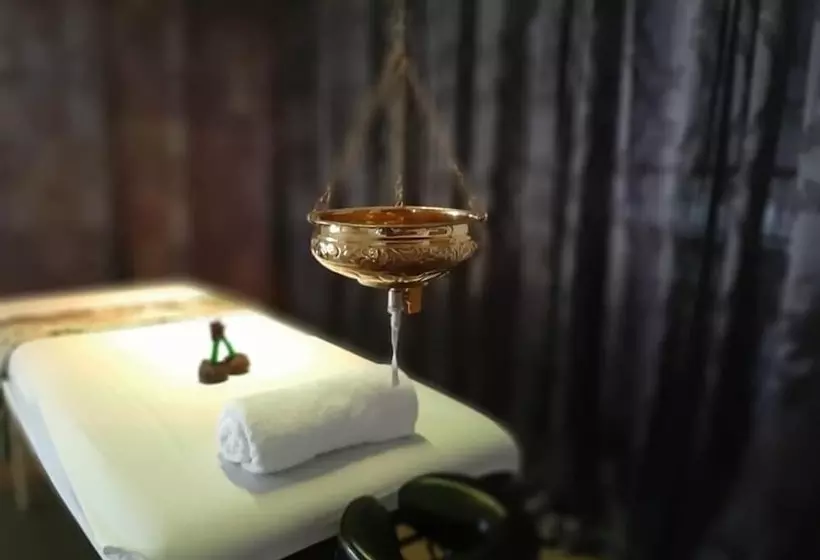 ベッドアンドブレックファースト Dharma Casa Holistica