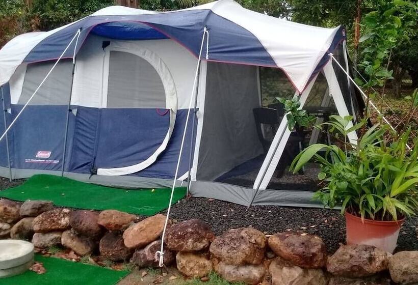 ベッドアンドブレックファースト Dharma Casa Holistica