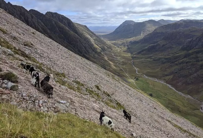 ベッドアンドブレックファースト Strath Lodge Glencoe