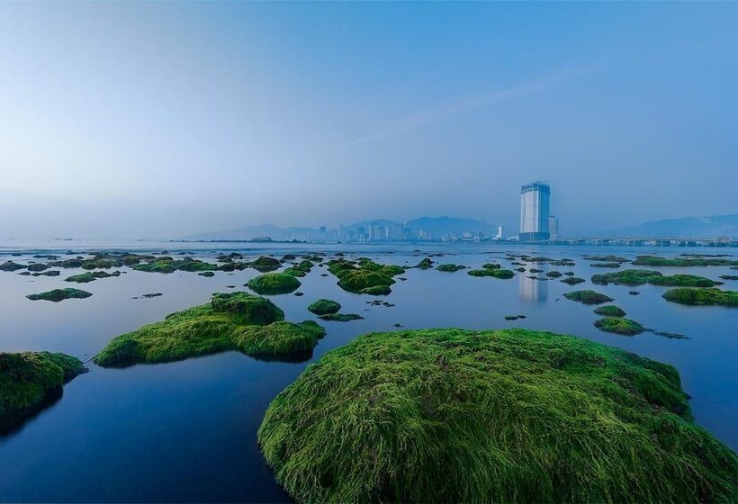 هتل Golden Lotus Central