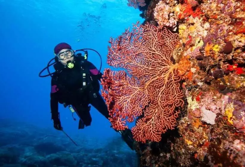 هتل Golden Lotus Central