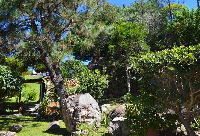 فندق La Martinica