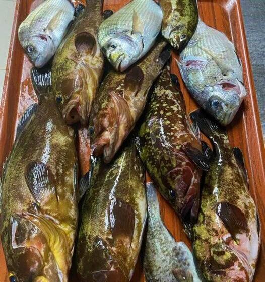 پانسیون Paradise Karpaz Hotel & Restaurant