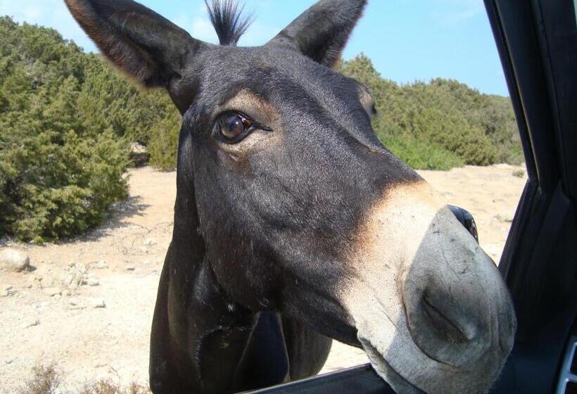 پانسیون Paradise Karpaz Hotel & Restaurant