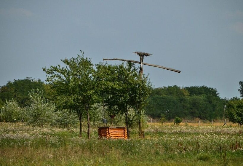 ユースホステル Antal Tavi Fogadó és Horgászparadicsom