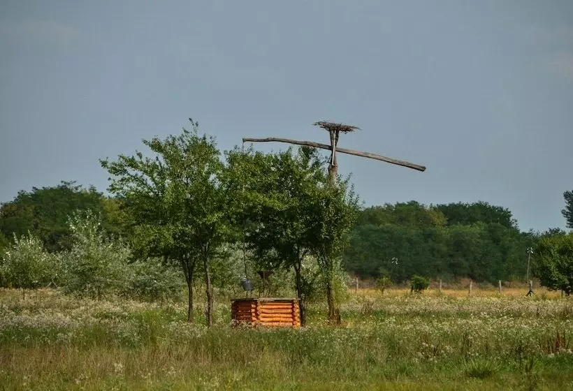 ユースホステル Antal Tavi Fogadó és Horgászparadicsom