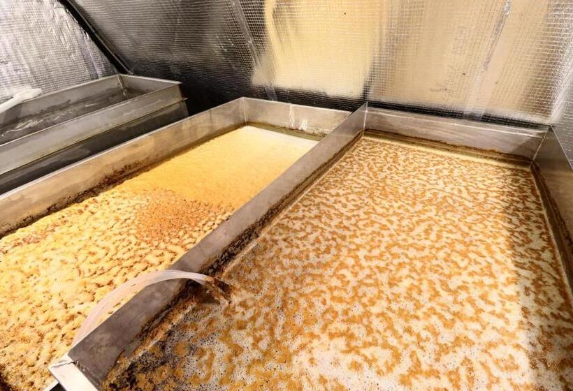 Panzió Penzión Brabčák