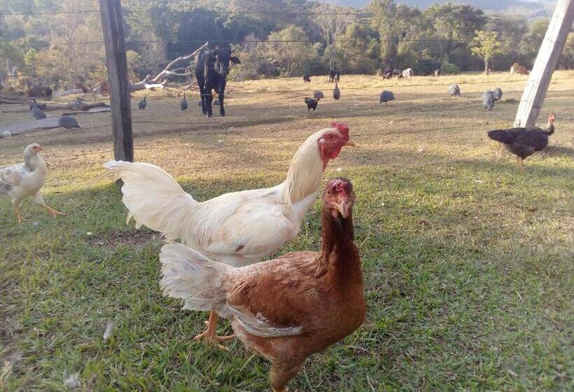 پانسیون Pouso Divino Dos Pireneus