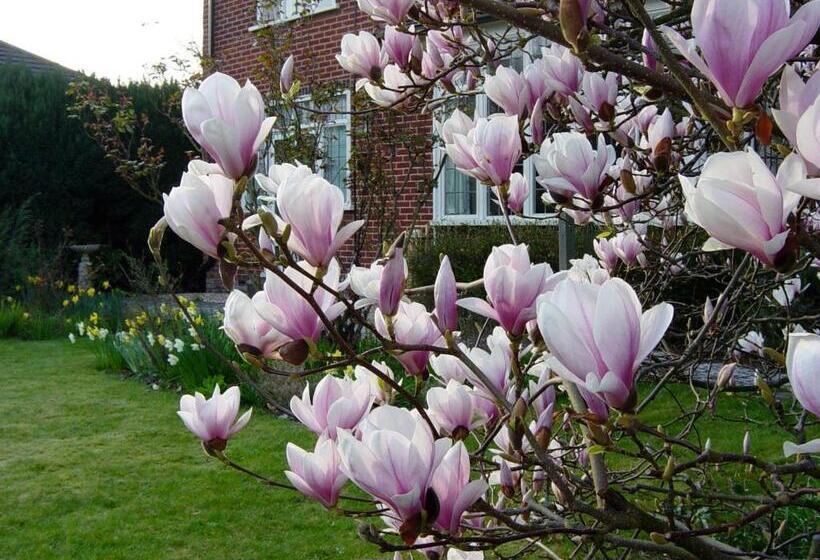 Bed and Breakfast Hatsue Guest House