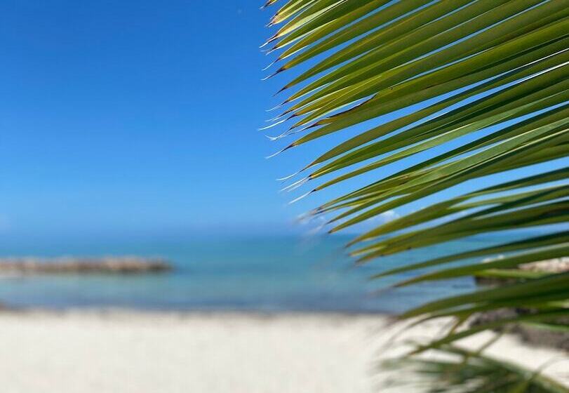 هتل La Casa De Paz