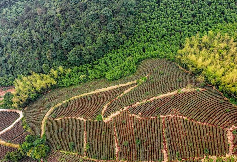 בית מלון כפרי Hyatt Place Deqing