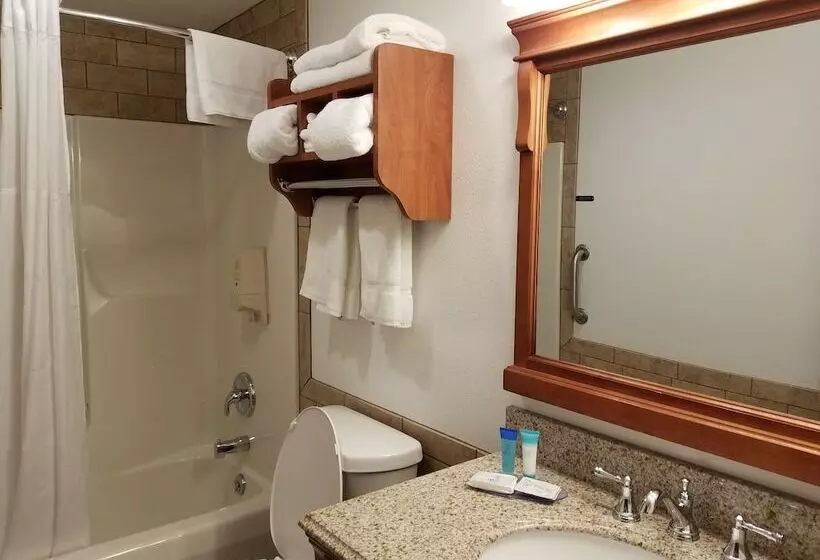 Black Hawk Motel & Suites