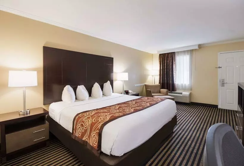 فندق Best Western Mckenzie