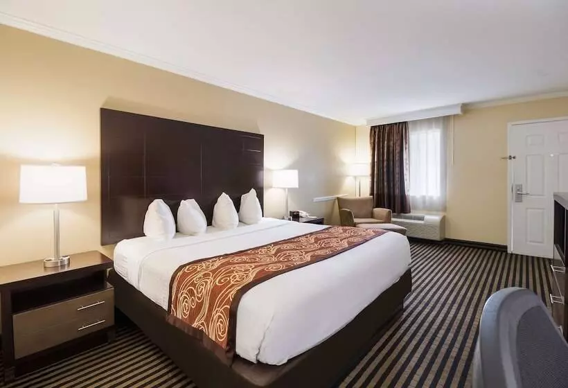 فندق Best Western Mckenzie