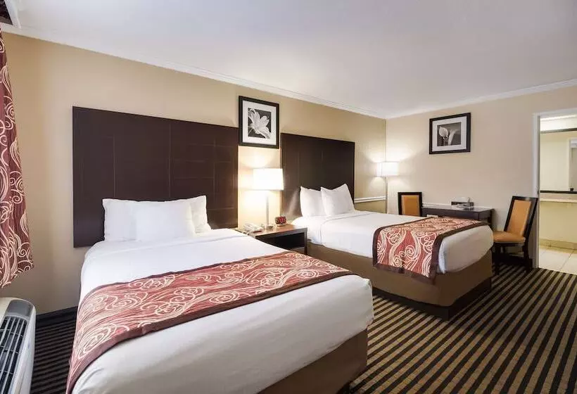 فندق Best Western Mckenzie