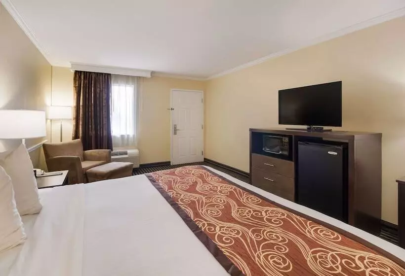 فندق Best Western Mckenzie