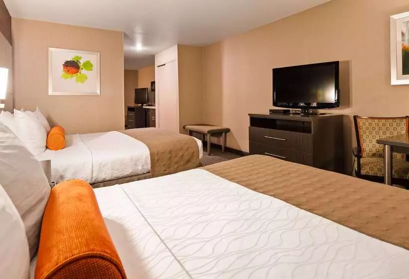 酒店 Best Western Plus Rama Inn & Suites