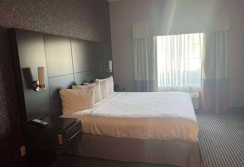 酒店 Best Western Plus Rama Inn & Suites