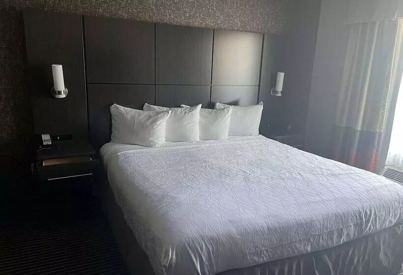 酒店 Best Western Plus Rama Inn & Suites