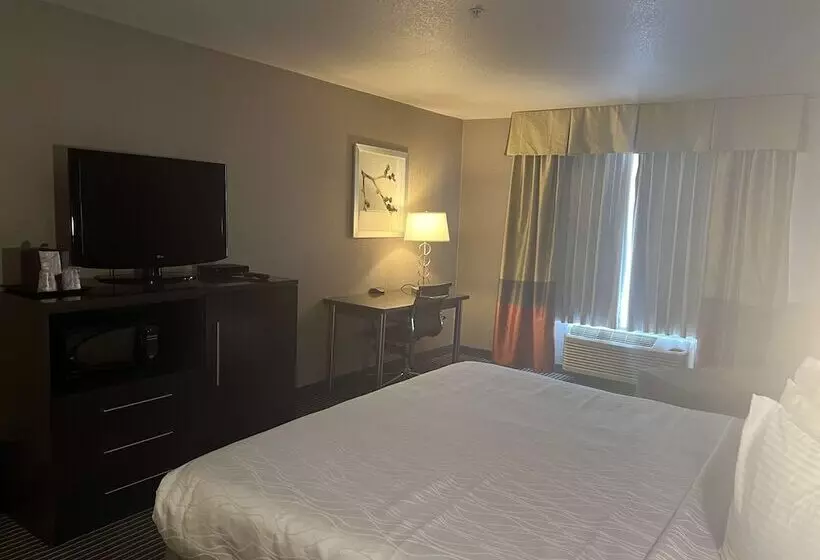 酒店 Best Western Plus Rama Inn & Suites