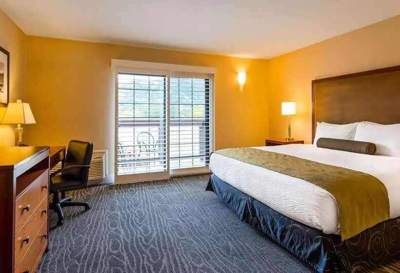 酒店 Best Western Plus Stevenson Manor