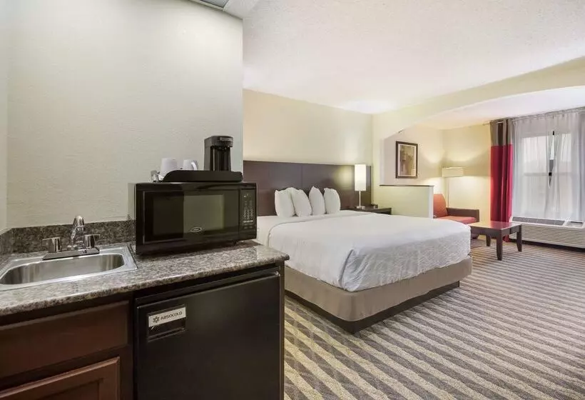 ホテル Best Western Suites Near Opryland