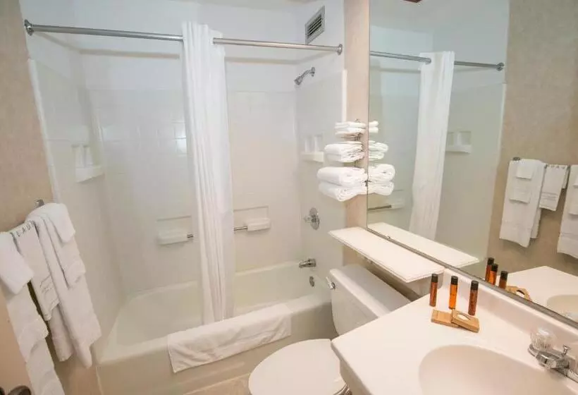 酒店 Brown County Inn