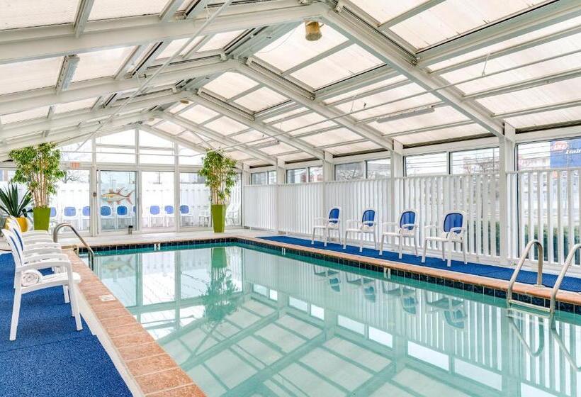 فندق Cayman Suites