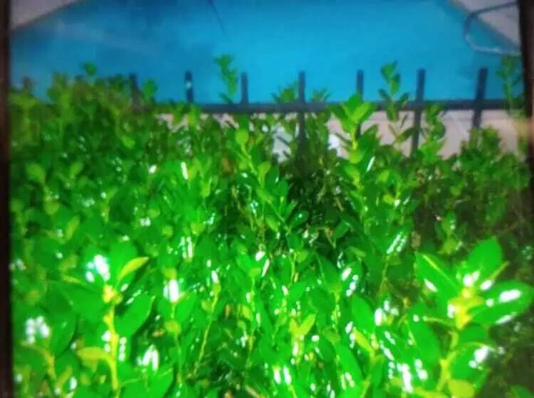 酒店 Rocky Creek Inn