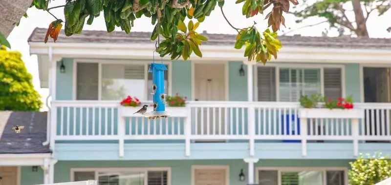 Мотель Bluebird Inn