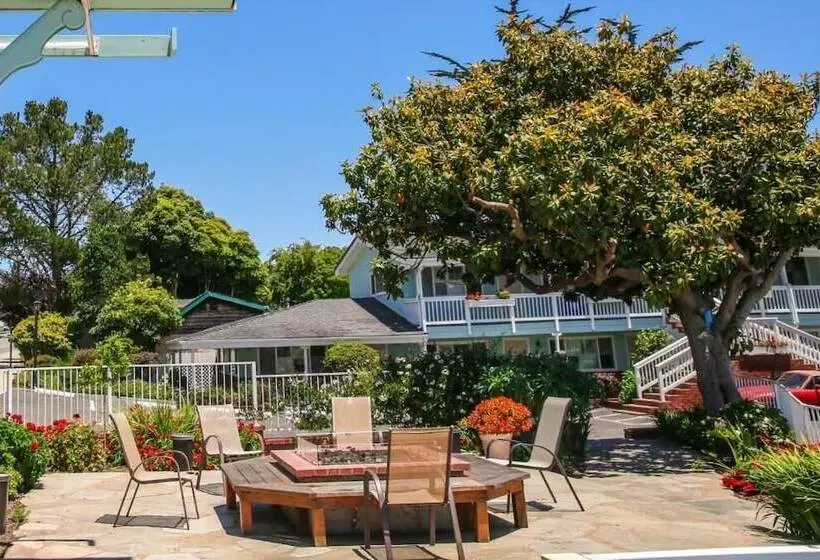 Мотель Bluebird Inn