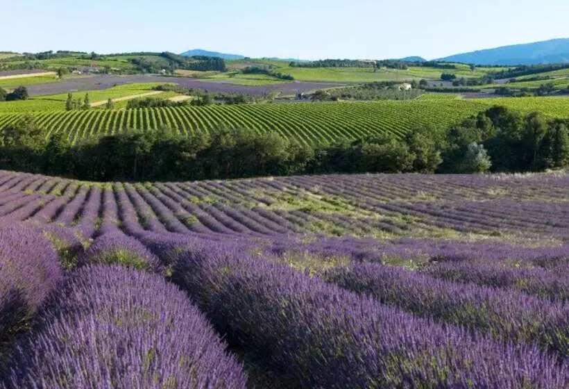Aamiaismajoitus (B&B) Domaine Les Bayles   Chambres D Hôtes